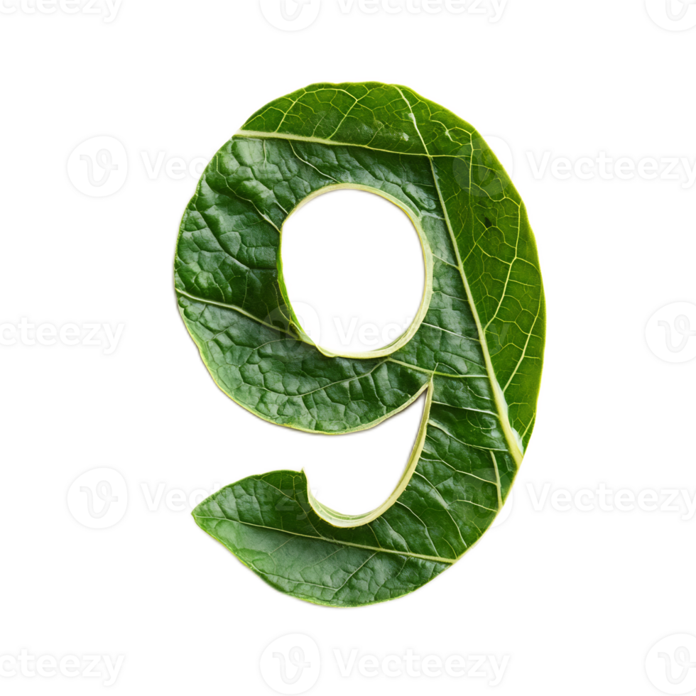 Numeric Leaf Shape Green Natural Environmental Concept png