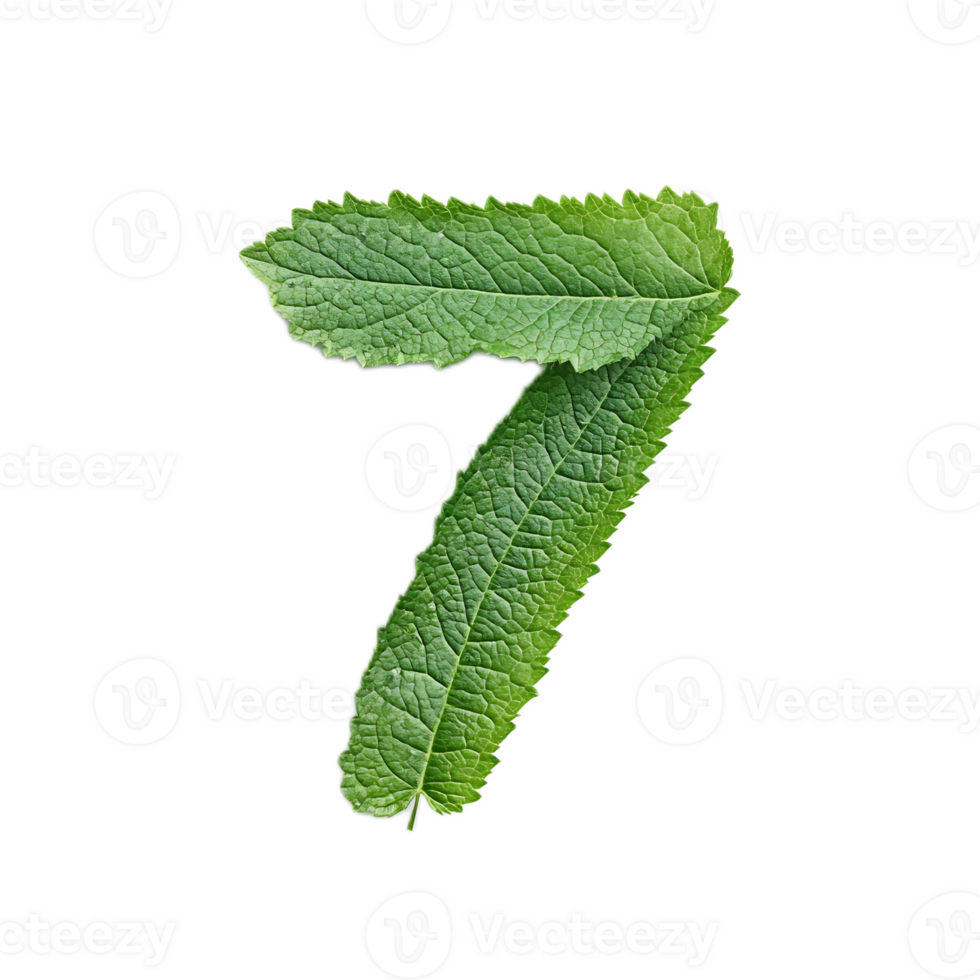Natural Number Seven Leaf Shaped Environment Texture Pattern png