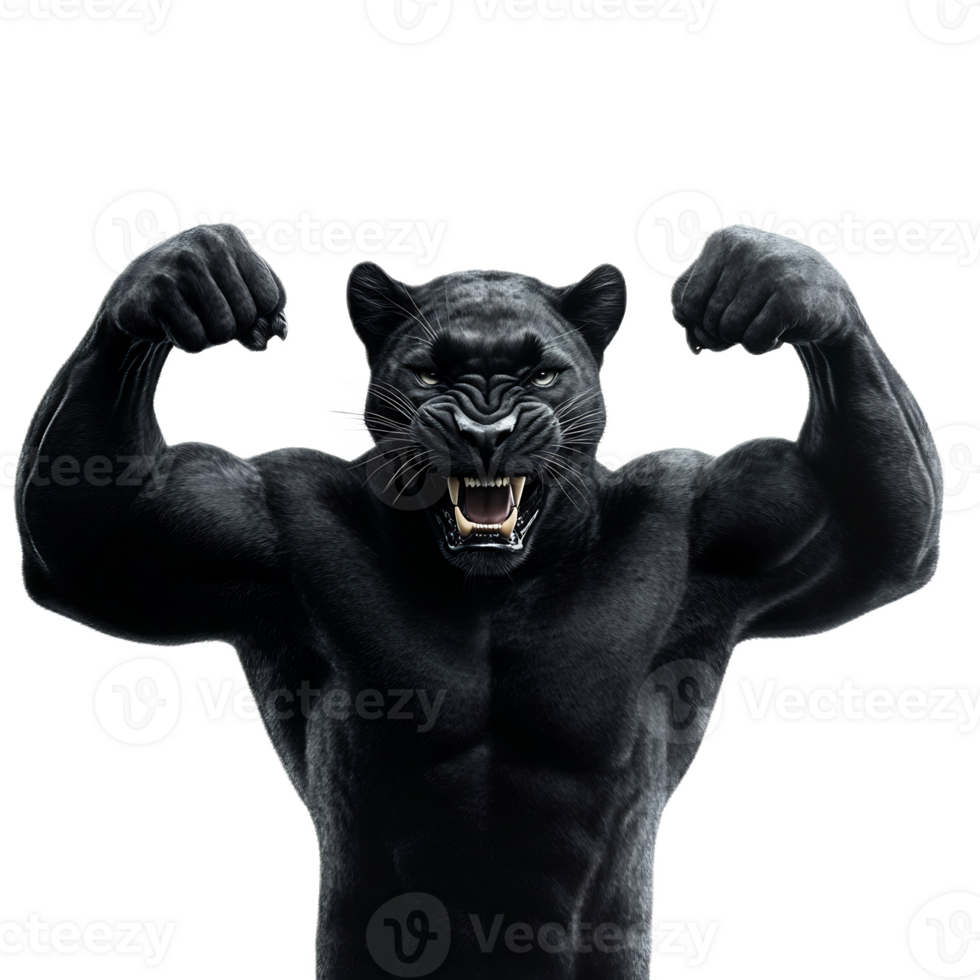 Powerful Panther Flexing Muscles,Embodying Physical and Emotional Fortitude png