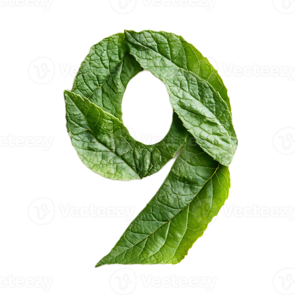 Organic Numeric Shape Formed by Green Leaf in Nature Setting png