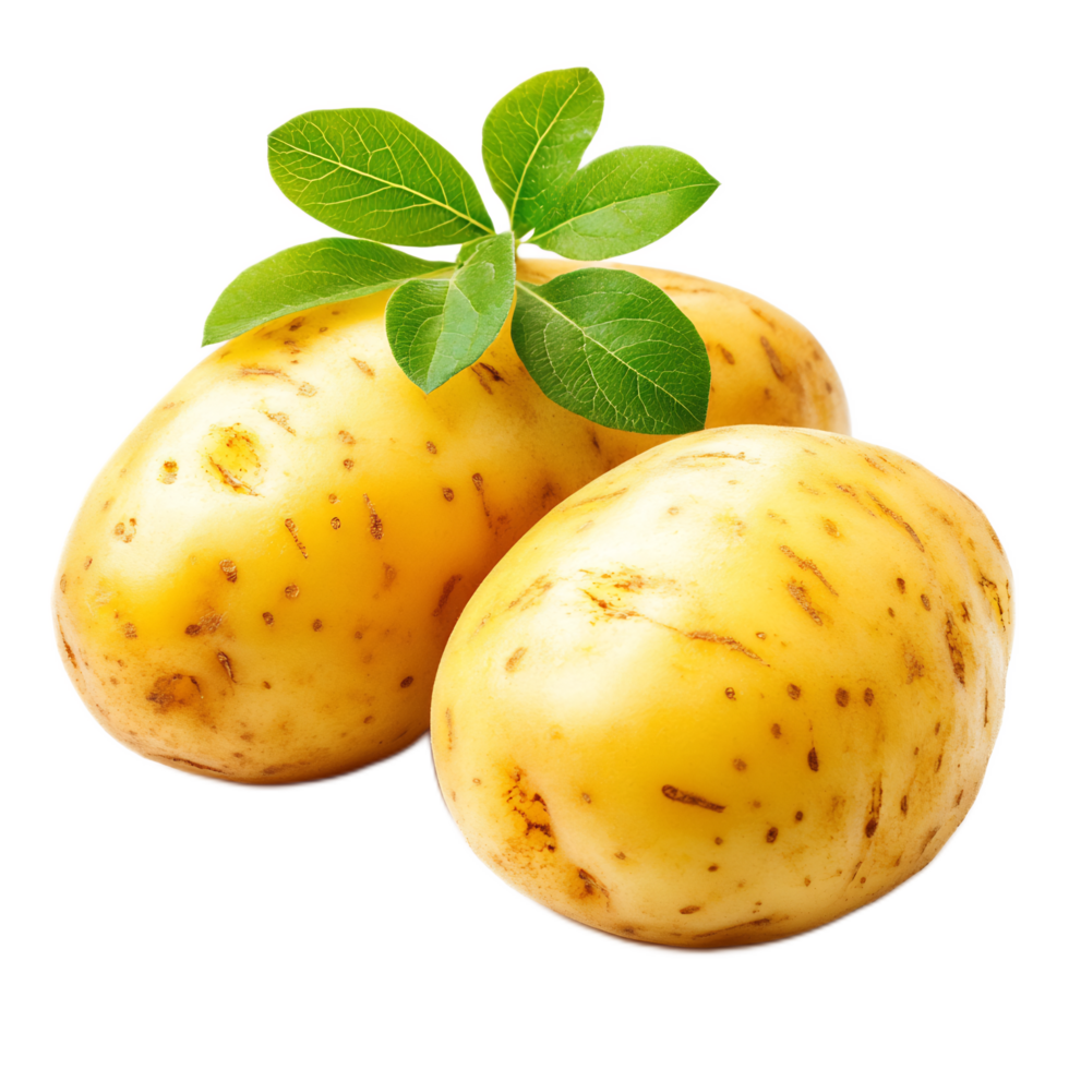 Fresh and Vibrant Russet Potatoes in Natural Setting png