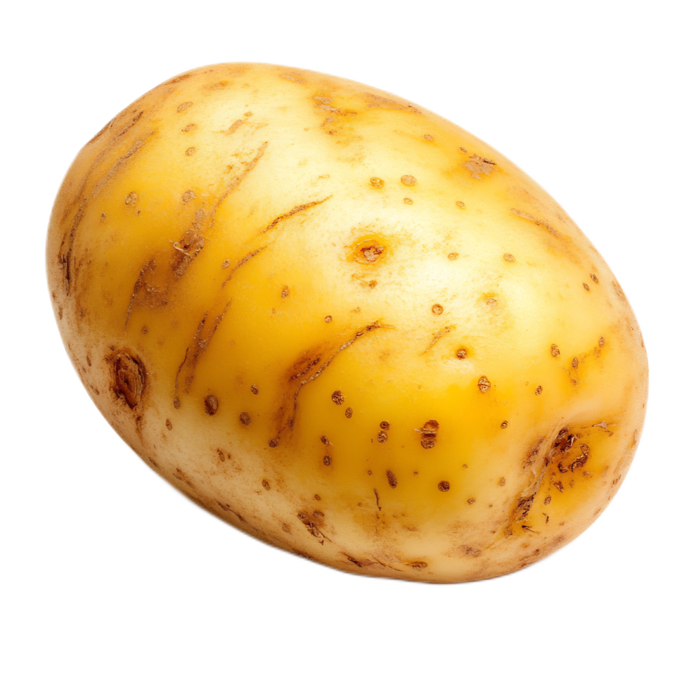 Close-up of a russet potato with rough,earthy texture and natural colors png