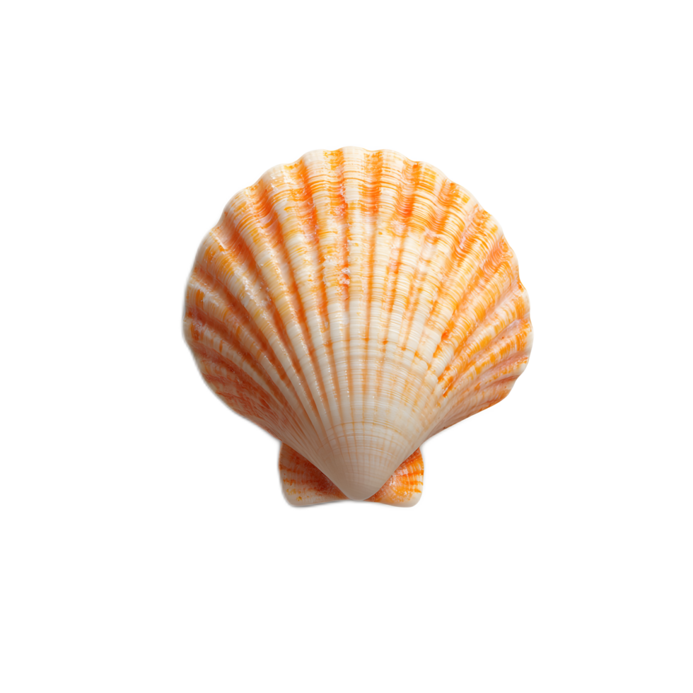 Vibrant Orange Seashell with Spiral Texture on Beach png