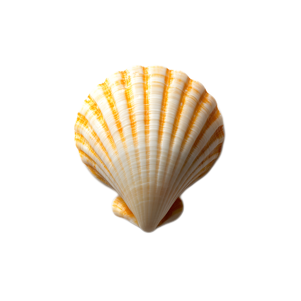 Vibrant Seashell with Intricate Spiral Design in Coastal Setting png