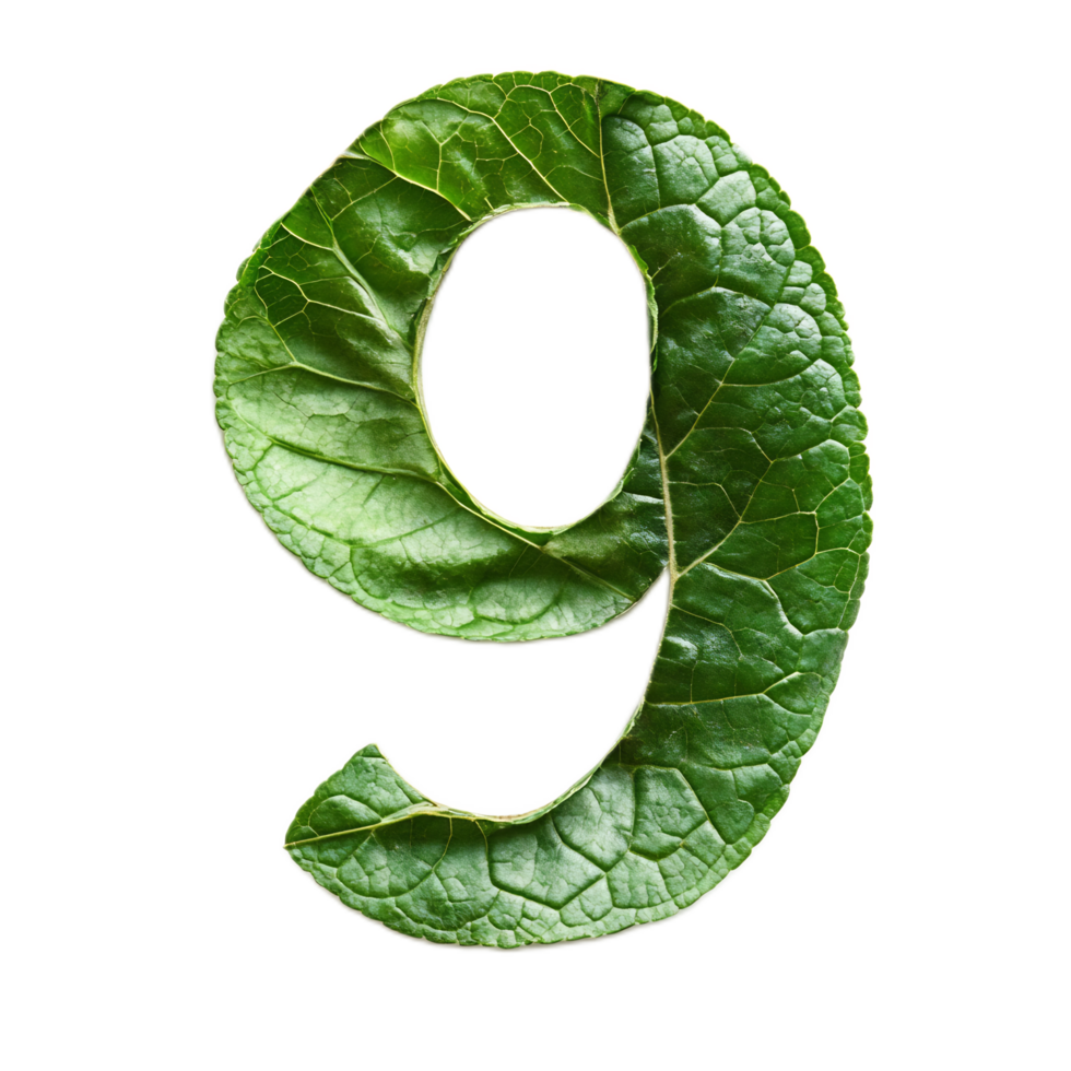 Stylized Leaf-Shaped Number Nine in Green Nature png