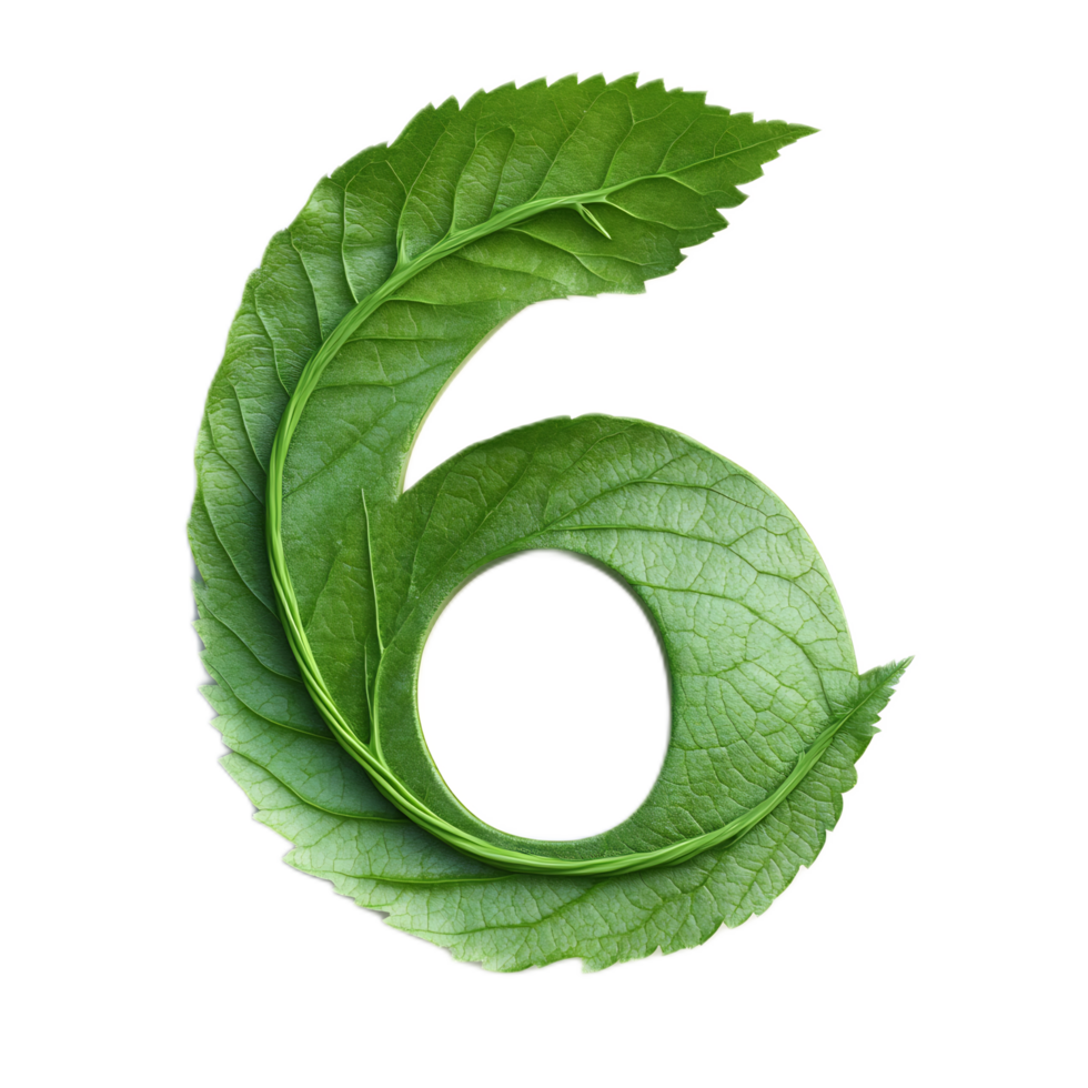 Stylized Leafy Number Six in Minimalist Nature Background png