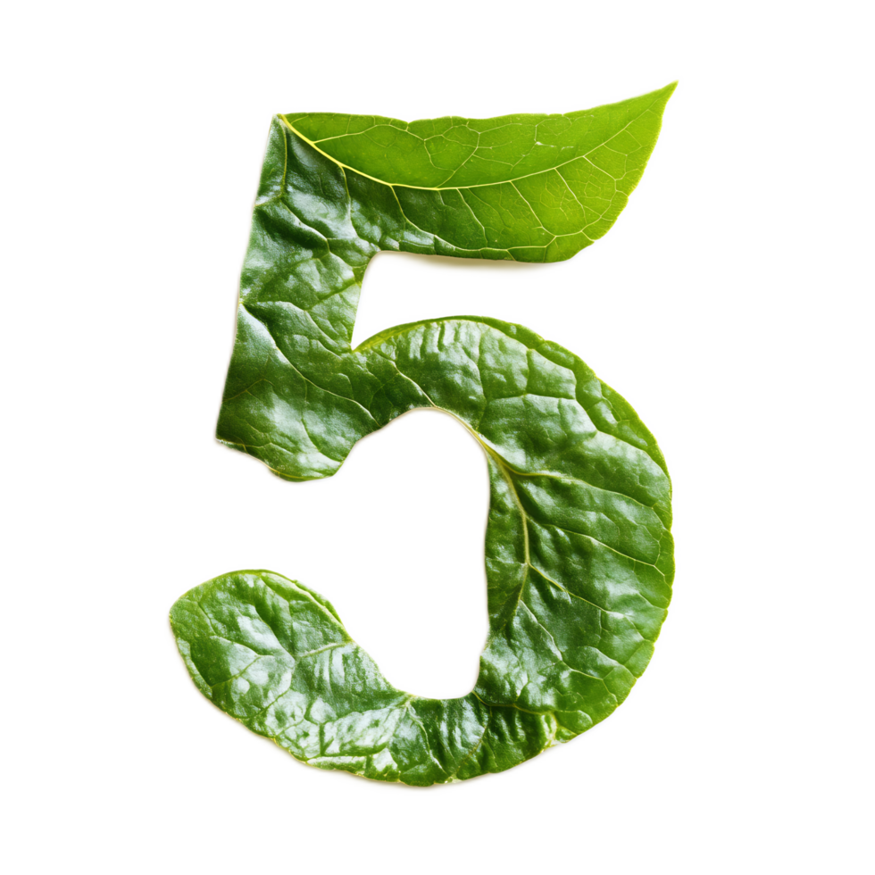 Stylized Leafy Green Number Five in Natural Environment png