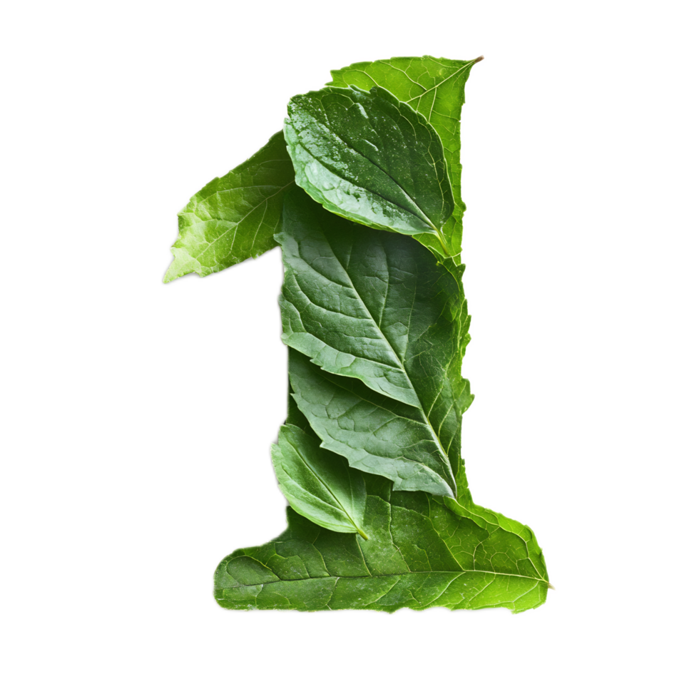 Stylized Green Leaf Forming Number One In Natural Environment png