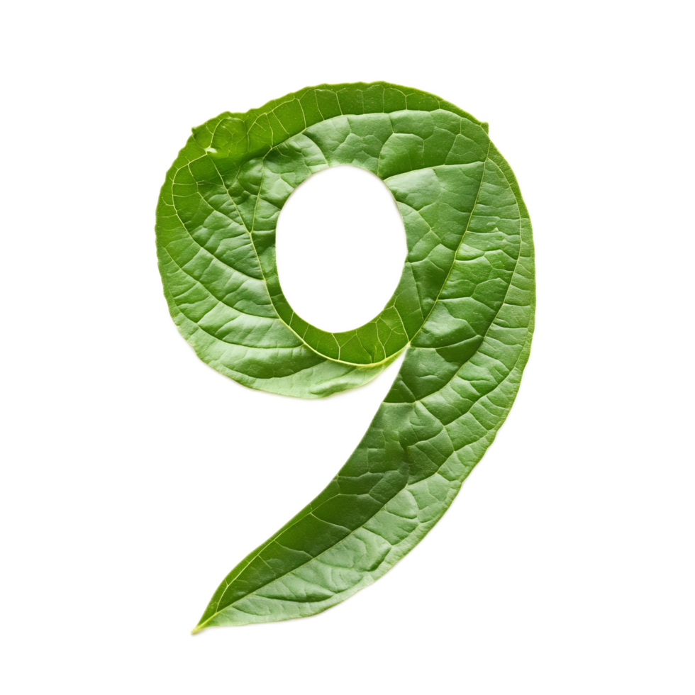 Stylized Green Leaf Forming the Number Nine in Nature-Inspired Composition png