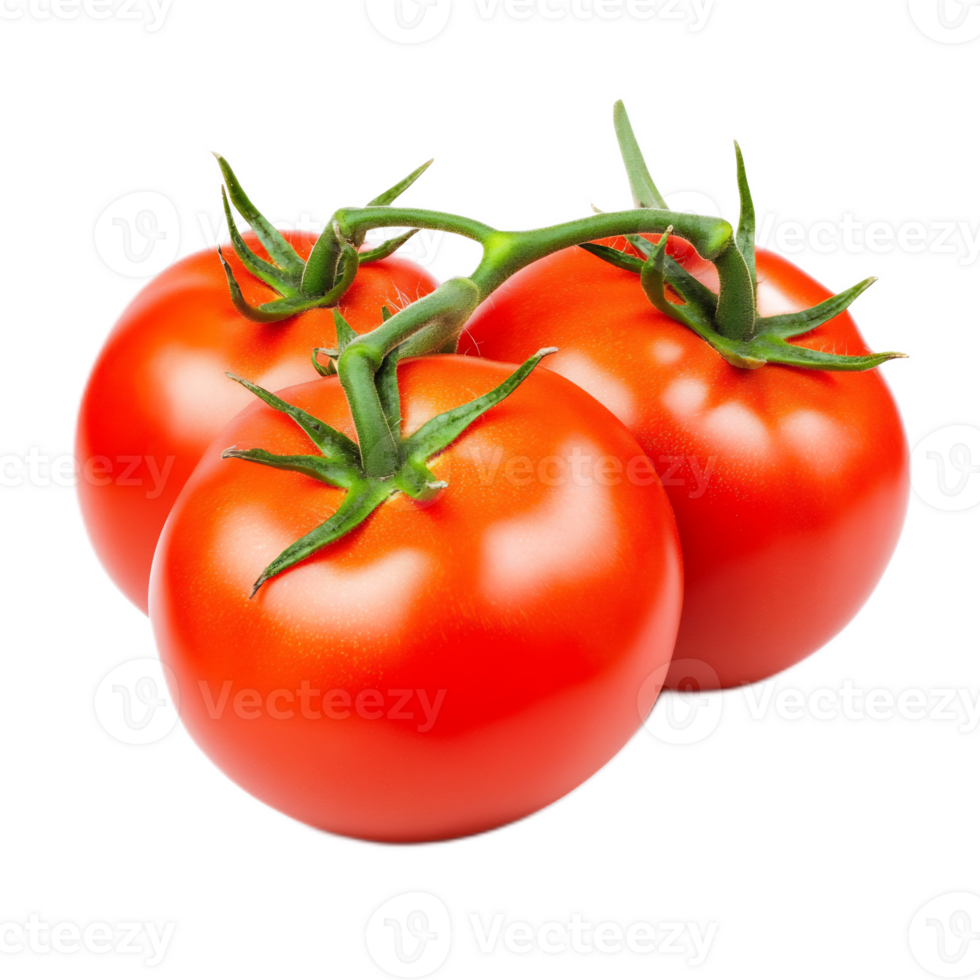 Vibrant Tomatoes Ripe for Culinary Creations on the Vine png
