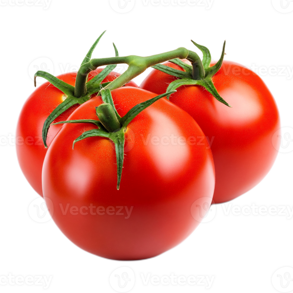 Cluster of Fresh Ripe Tomatoes on Vine with Stems png