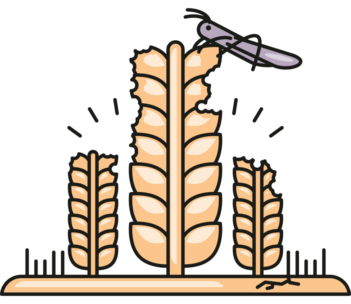 locust plague due to climate change png