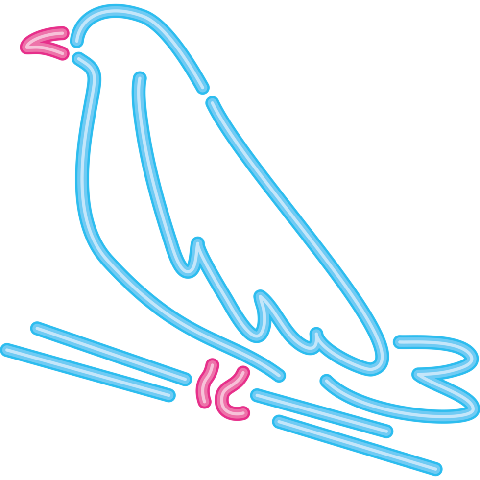 dove bird neon lights animal png