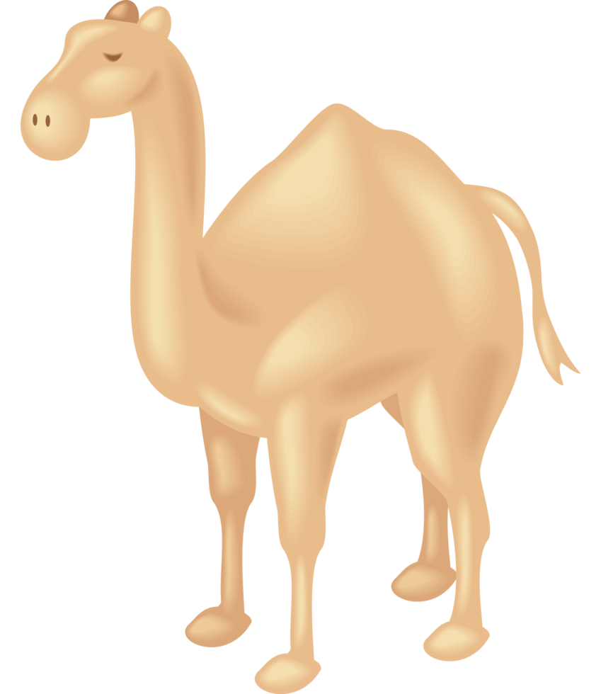 camel desert animal design png