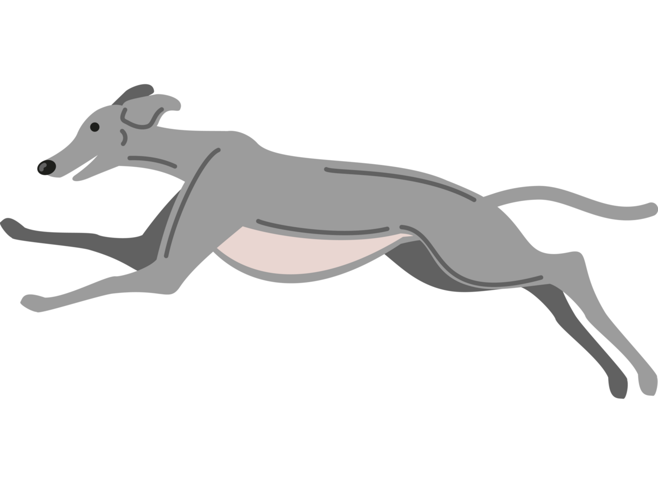 greyhound dog jumping icon png
