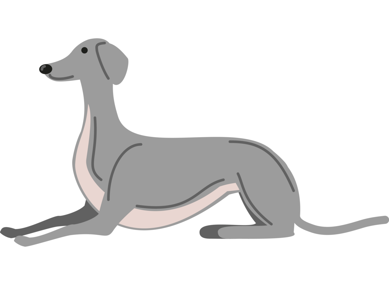 greyhound dog pet animal icon png