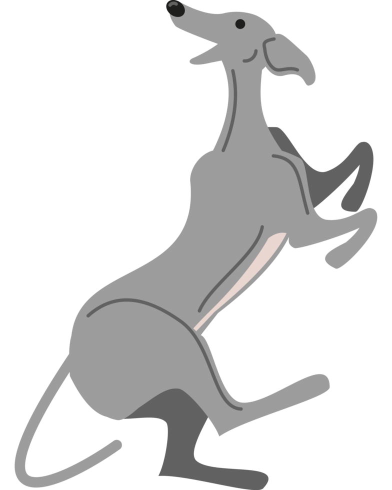 greyhound dog animal png