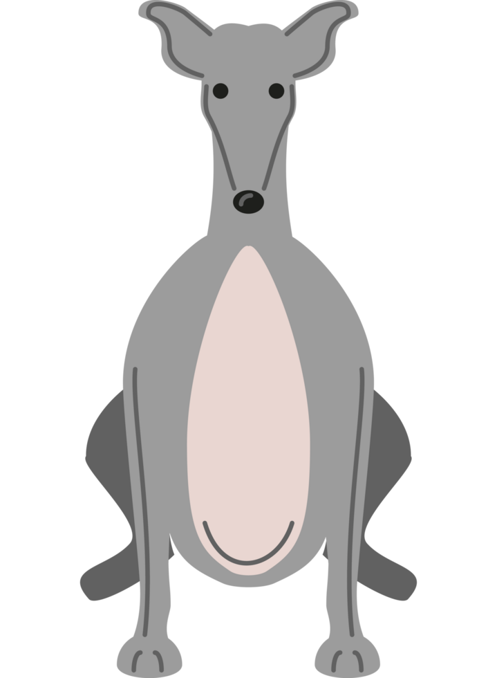 greyhound dog front view png