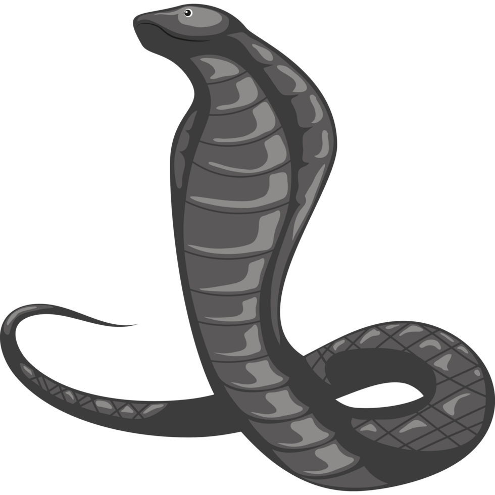 snake desert animal png
