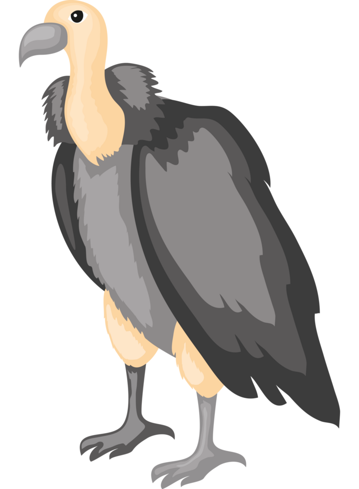 vulture desert animal png
