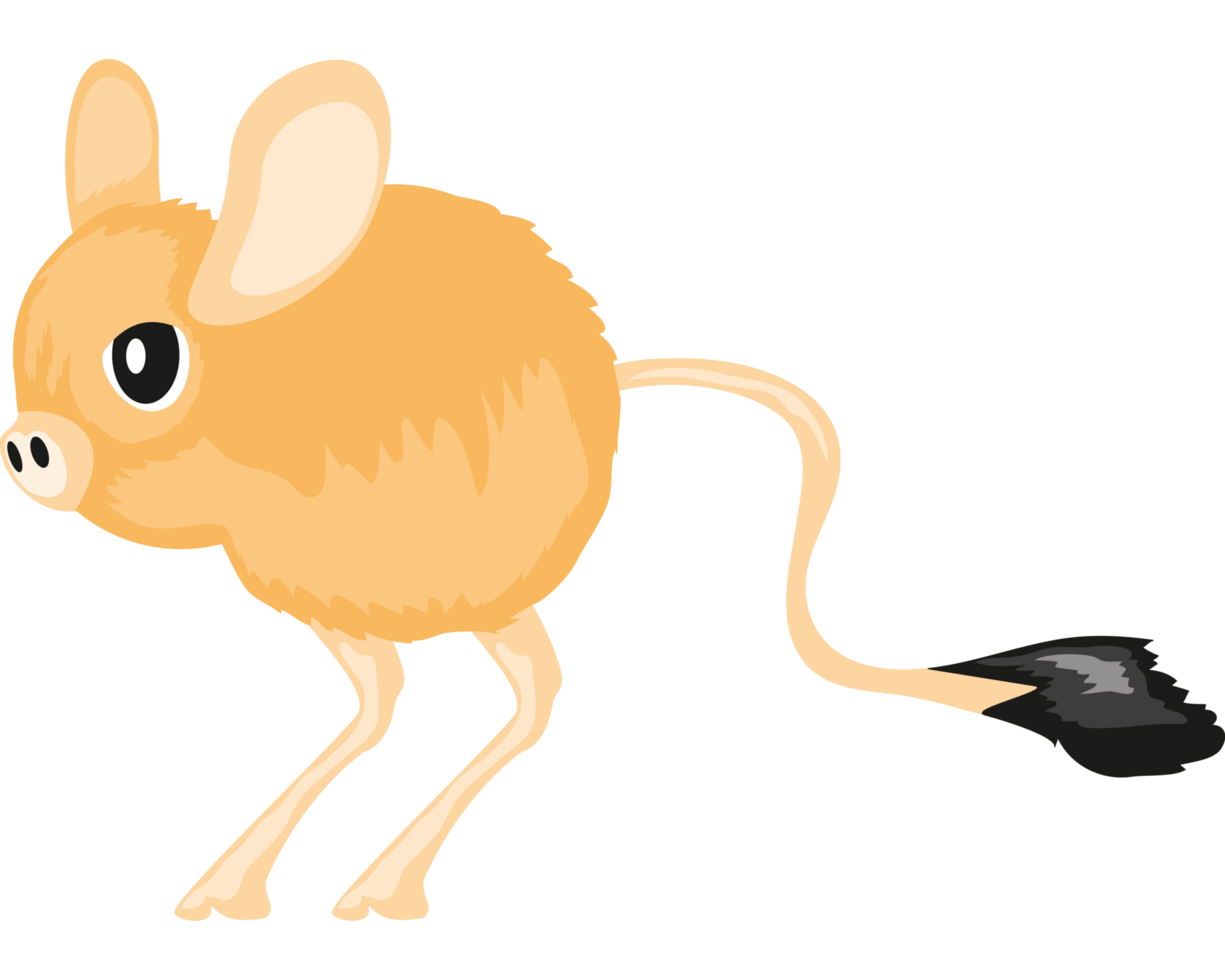 kangaroo rat desert animal png