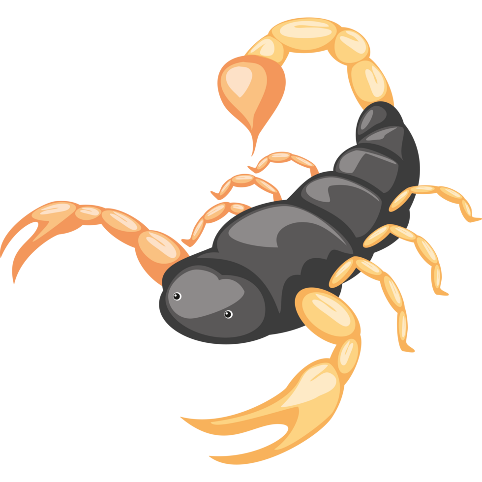 scorpion desert animal png