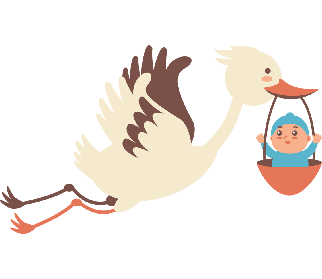 Baby Delivery Stork Flying Newborn Arrival png