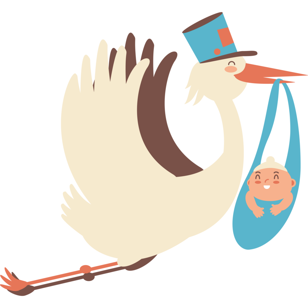 Baby Delivery Stork Carrying Infant Boy png