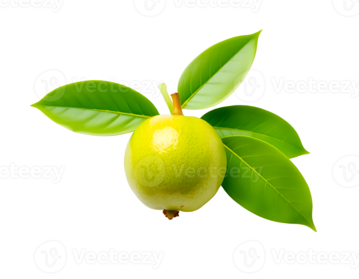 Green lemon with leaves isolated on transparent background png