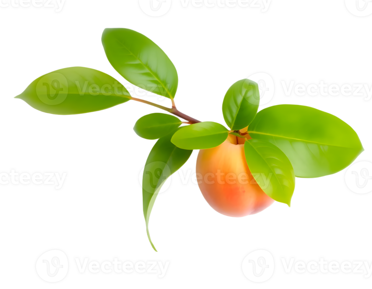 Peach with leaves isolated on transparent background png