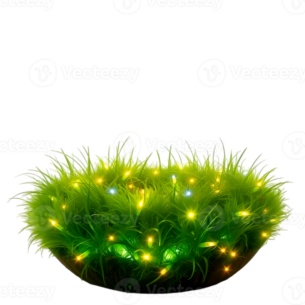 Green grass with led lights isolated on transparent background png