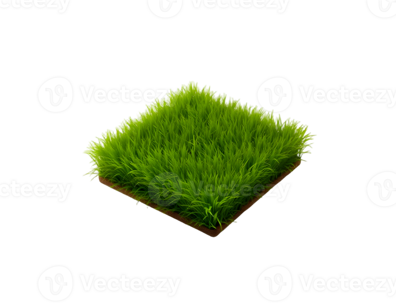 Realistic 3d Grass Isolated on Transparent Background png