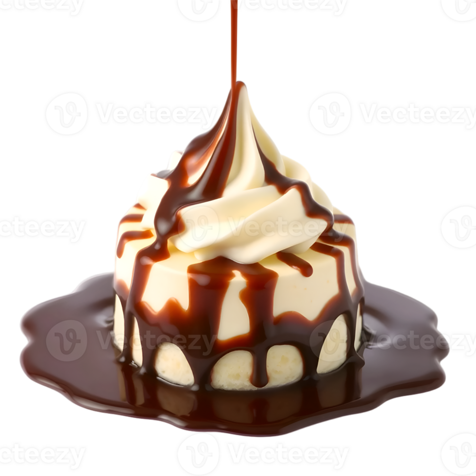 Panna Cotta with Chocolate Sauce, Realistic Illustration png
