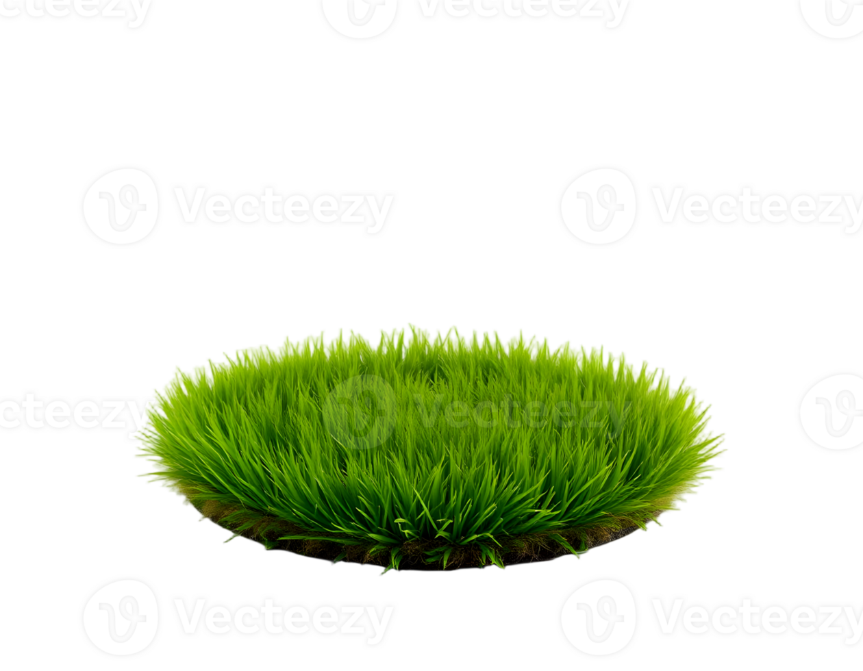 Isolated green grass patch on transparent background png
