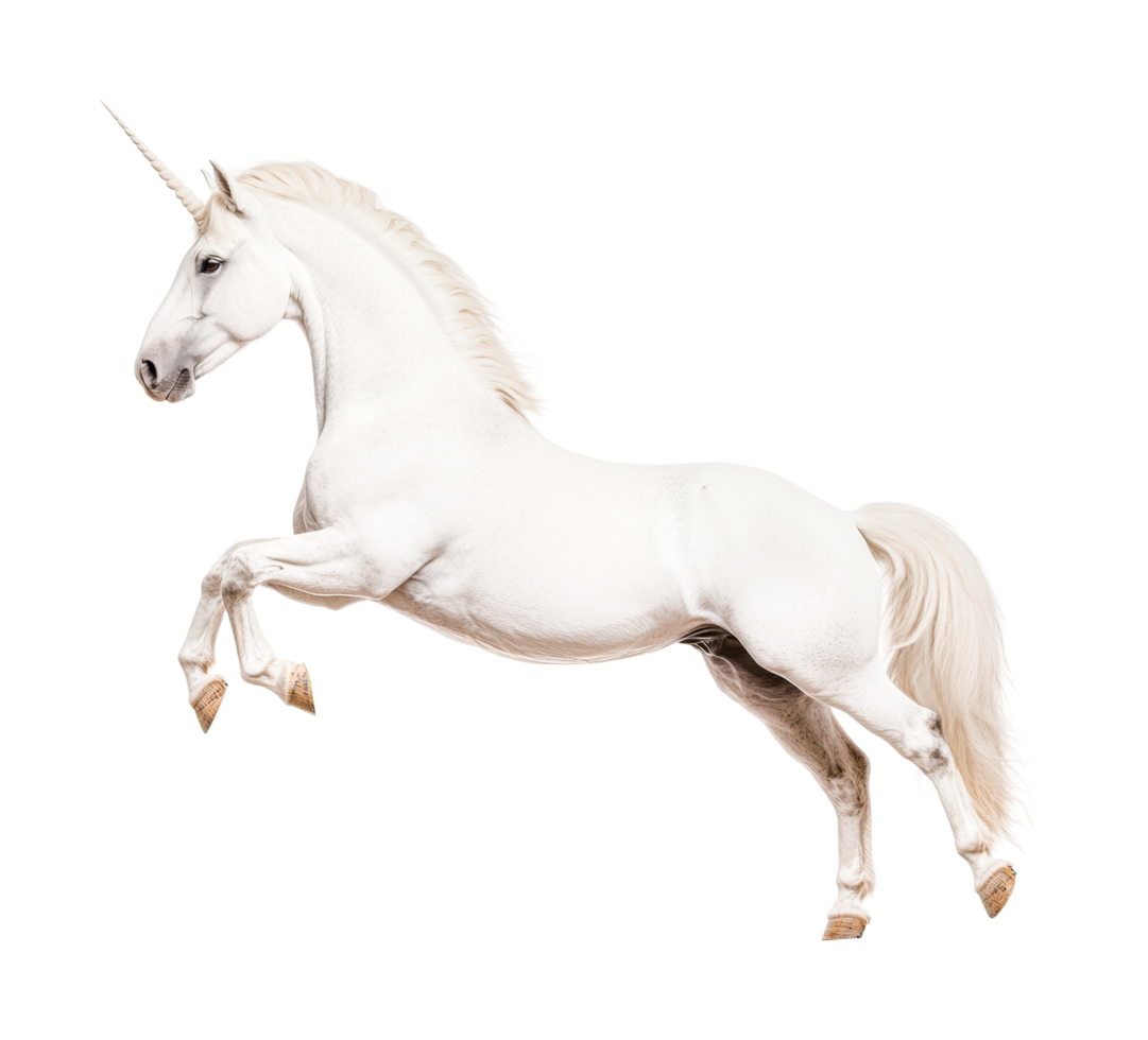 Majestic white unicorn in mid-jump, cut out png