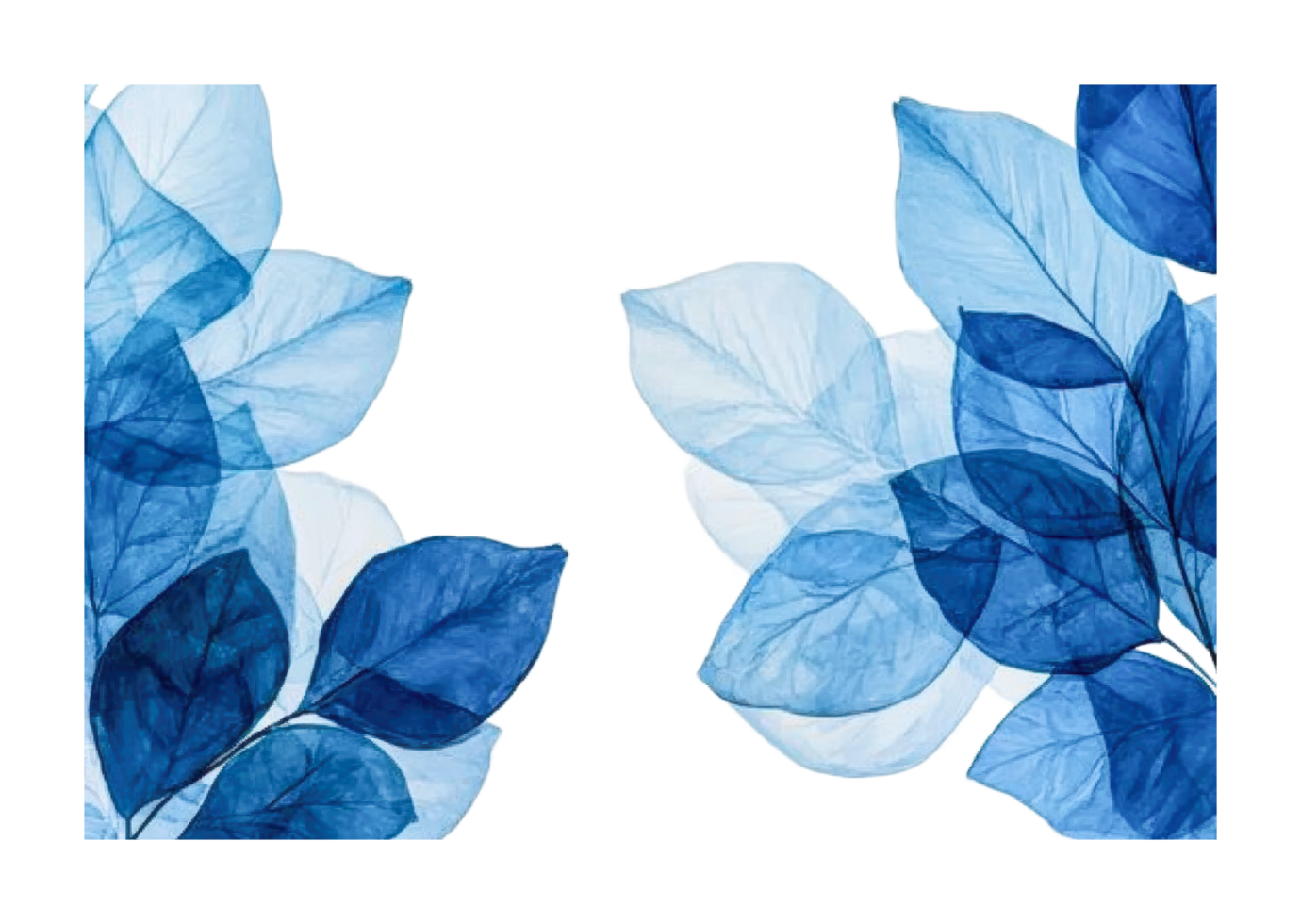 Abstract blue leaves displaying nature's elegance in artistic arrangement, cut out png