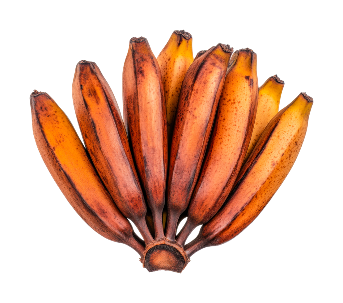 Ripe red bananas cluster on isolated display, cut out png