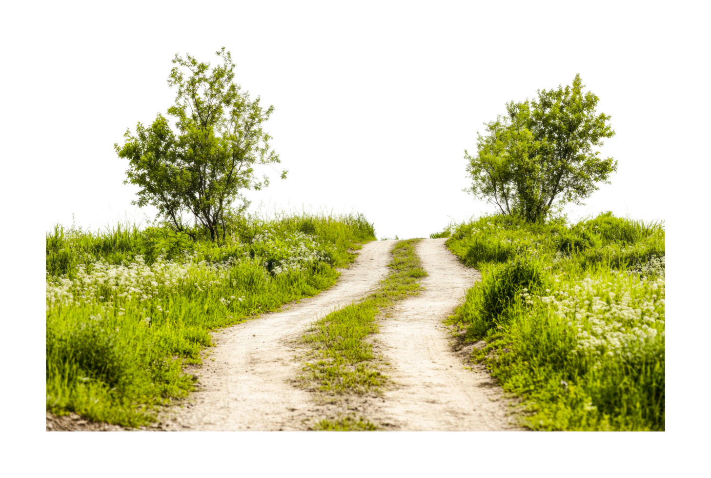 Serene dirt pathway winding through verdant greenery and trees, cut out png