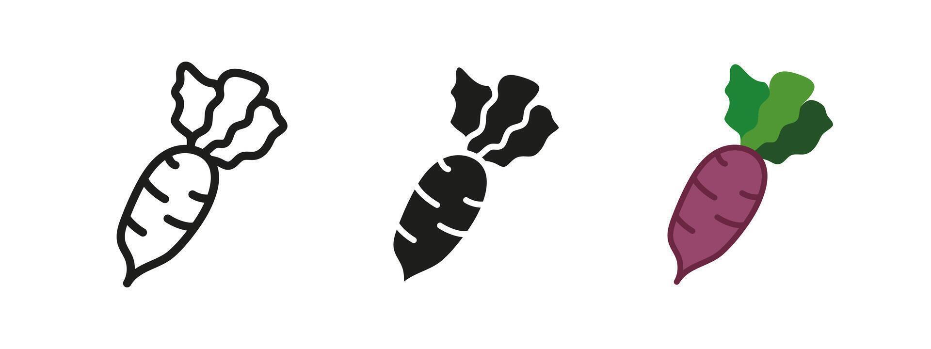 Beet icon. Fresh root vegetable with leafy greens illustration. Nutritious and organic food symbol. Healthy ingredient for salads and dishes. Farm-grown and natural produce concept. vector