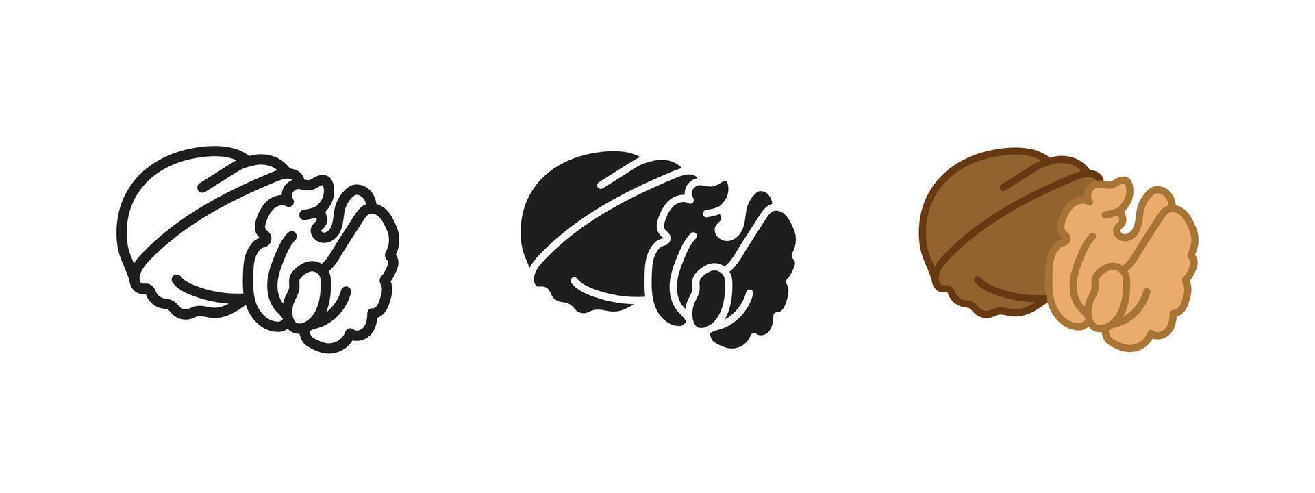 Walnut icon. Healthy walnut nut with cracked shell illustration. Organic and crunchy snack symbol. Delicious protein-rich food pictogram. Tasty and natural vegetarian concept. vector