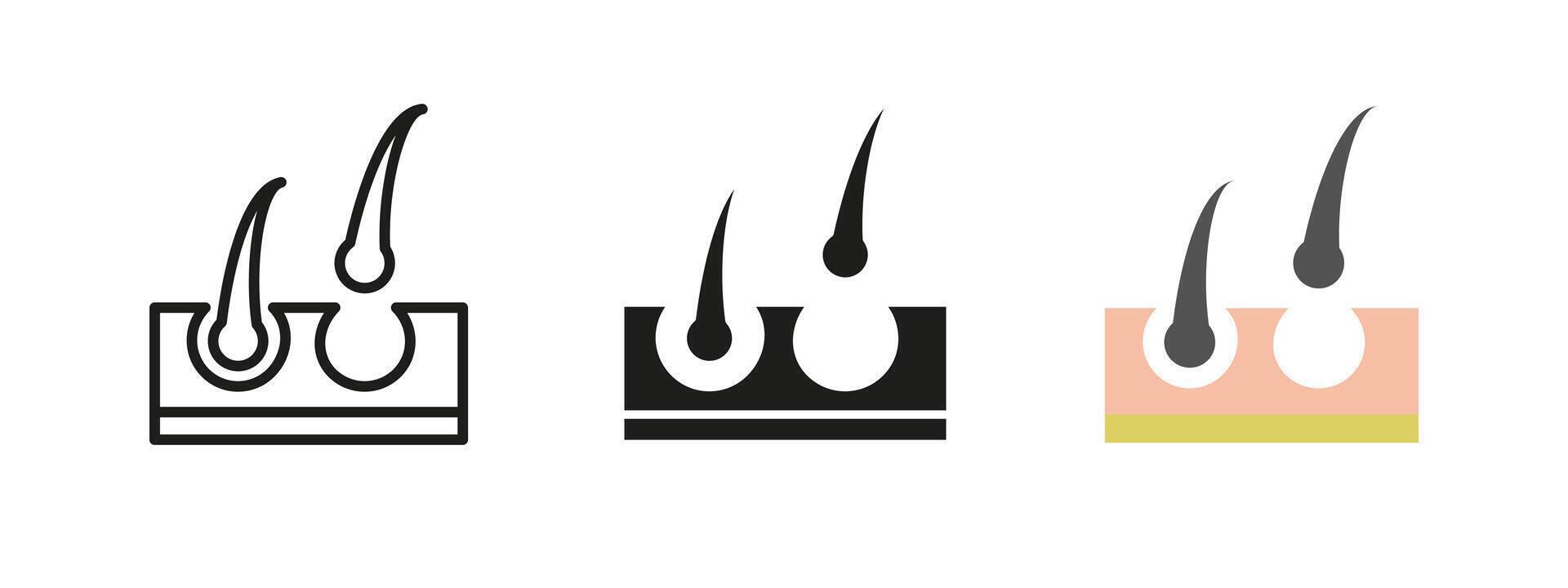 Hair follicle icon. Scalp and root structure illustration. Dermatology and hair growth symbol representing biology, medical treatment and skin care or removal concepts. Epilation pictogram. vector
