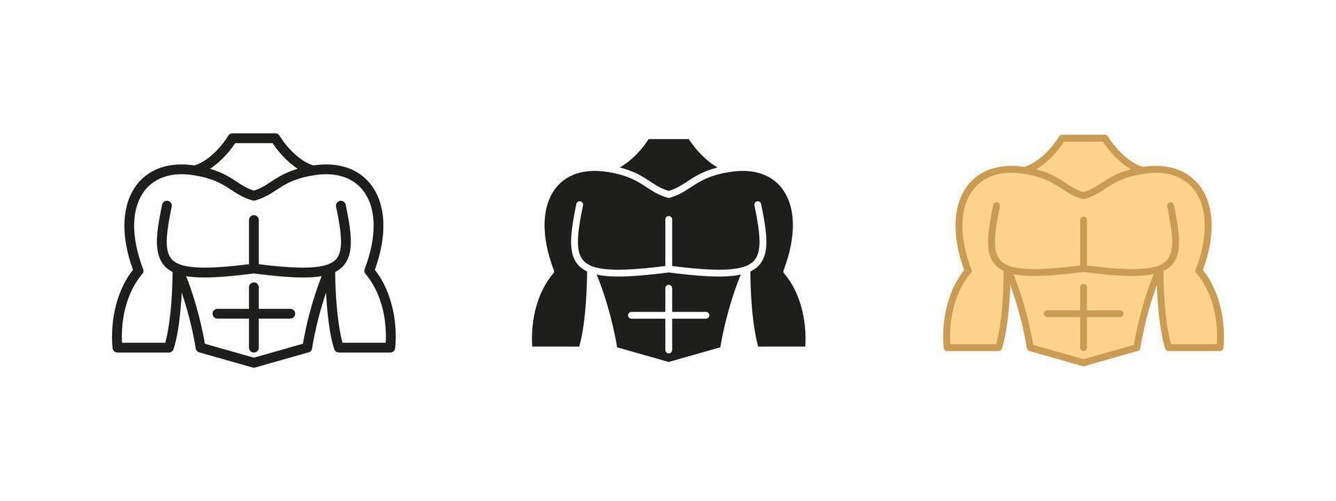 Muscle torso icon. Athletic body with six-pack abs illustration. Fitness and bodybuilding symbol representing strength, power and dedication to a healthy lifestyle. vector