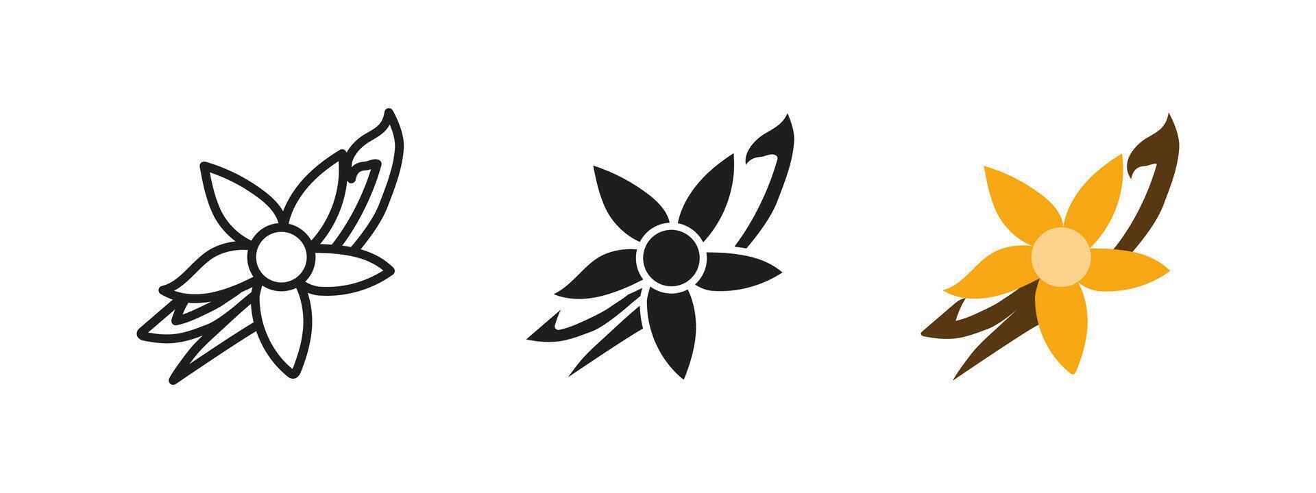 Vanilla flower icon. Elegant blooming vanilla flower with yellow petals illustration. Fragrant plant symbol. Essential spice ingredient pictogram. Aromatic and sweet herb concept for cooking. vector