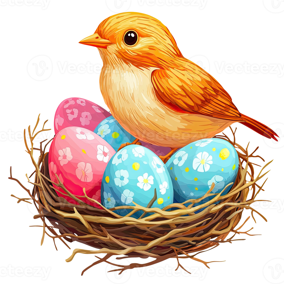 Bird with Colorful Nest Eggs png