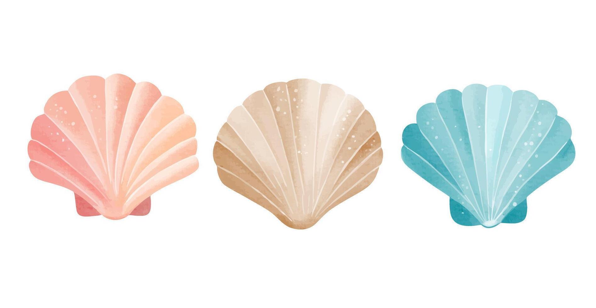 Watercolor shells. Aquarium elements. Sea flora illustration. Hand drawn underwater sea life vector