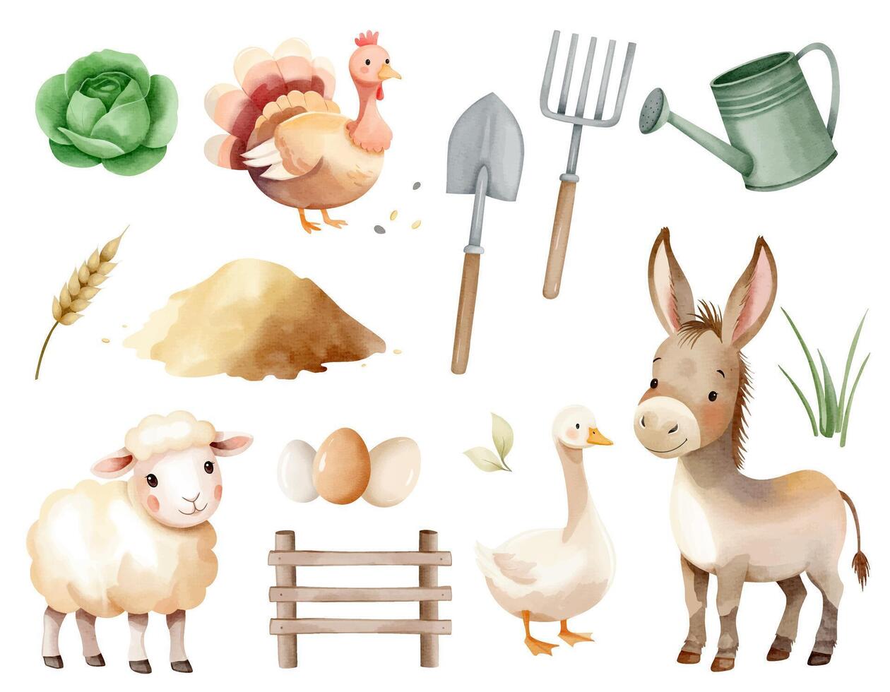 Cute farm animals and agricultural elements. Fence, turkey, donkey, goose, sheep, cabbage, watering can, tools vector