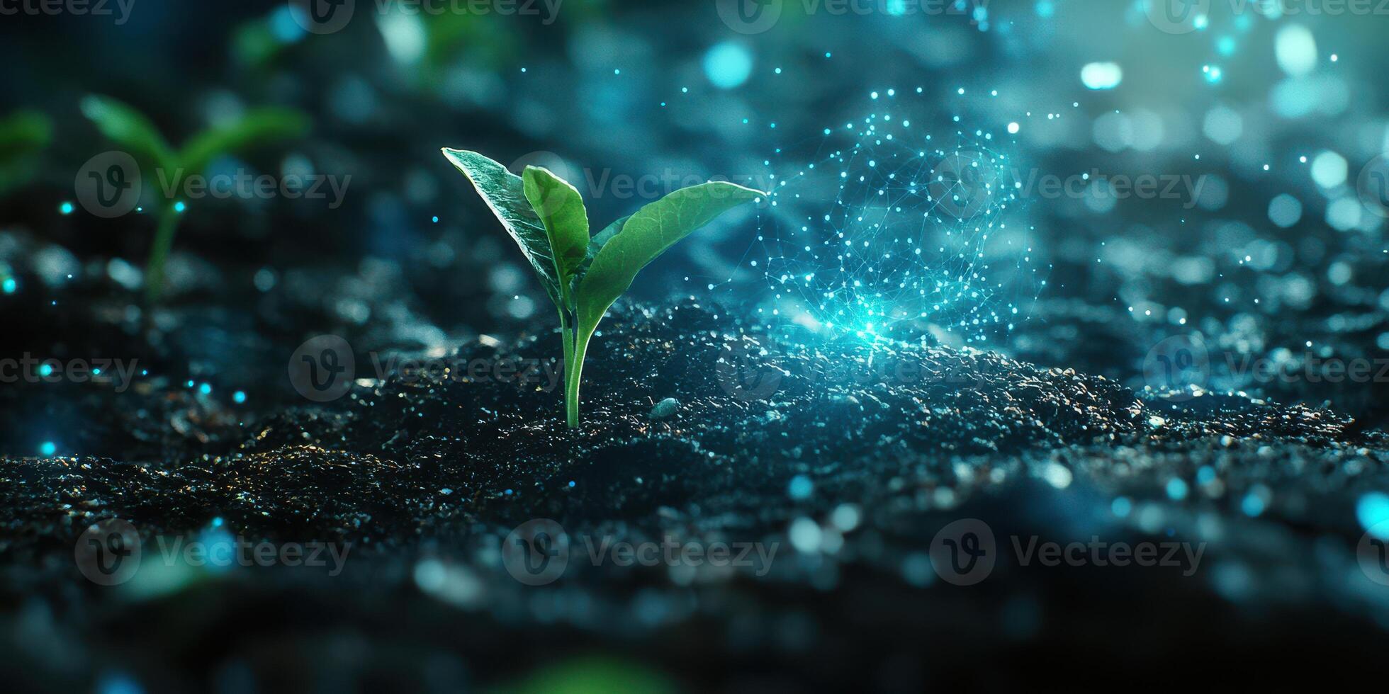 Newly sprouted plant glowing with magical light in dark soil on a serene evening photo