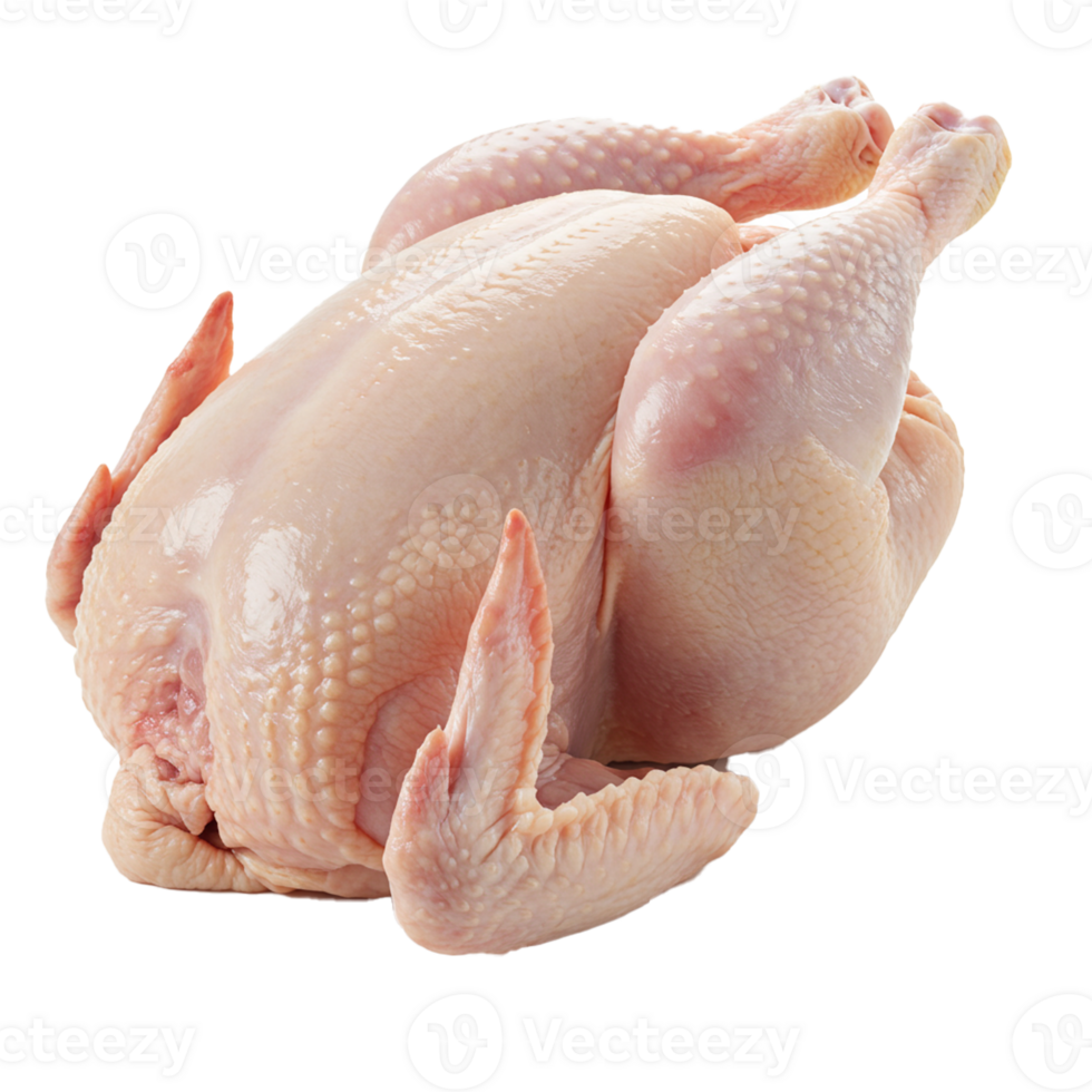 Whole fresh raw chicken available for roasting and meal preparation. png