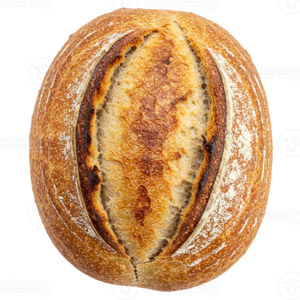 Fresh bakery bread with a crusty exterior and soft interior for daily enjoyment. png