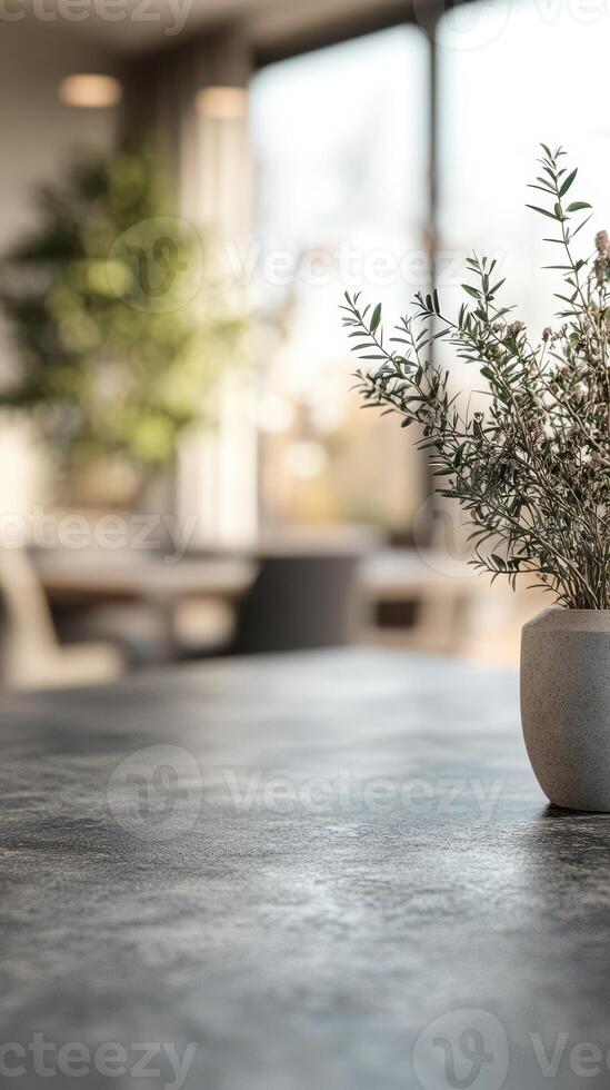 Plant in a minimalistic indoor space with soft natural light highlighting the decor photo